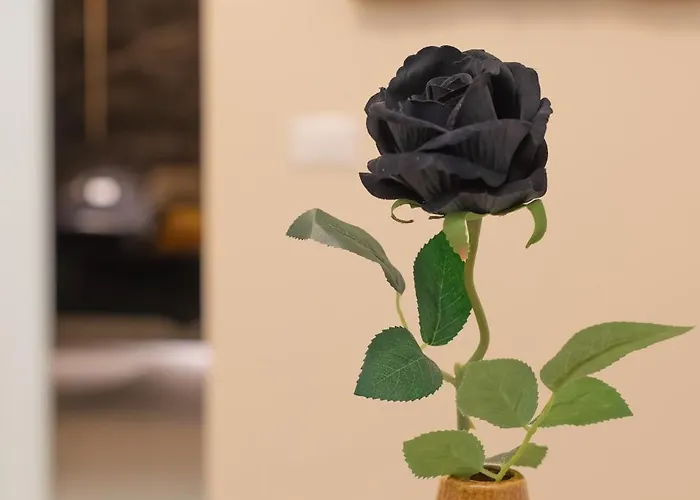 Apartamento Sabbiadolce Bellaria-Igea Marina